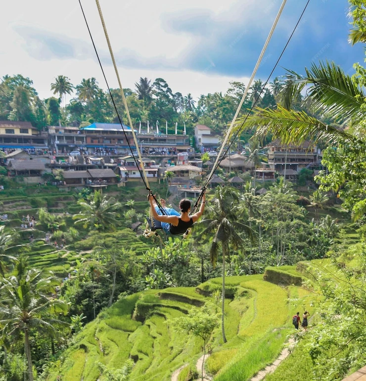 Image of Ubud Tour Package (1 Day Trip)